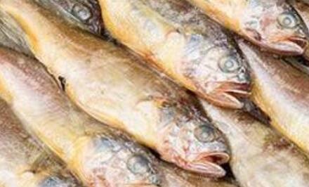 海鮮禮品當(dāng)戰(zhàn)的大黃魚和小黃魚有哪些區(qū)別